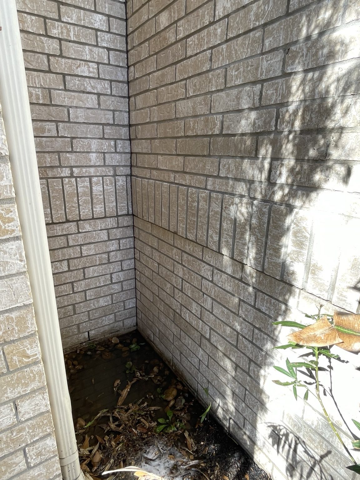 After: Brick Exterior Cleaning