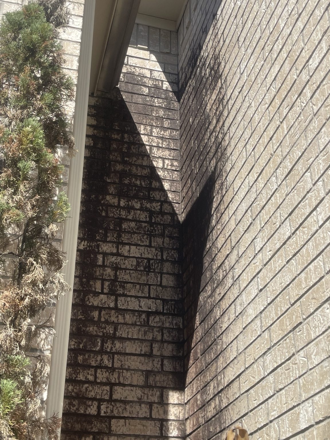 Before: Brick Exterior Cleaning
